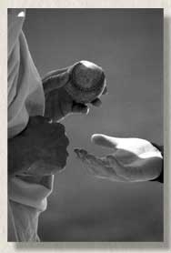 gandhi gives baseball to cochrane